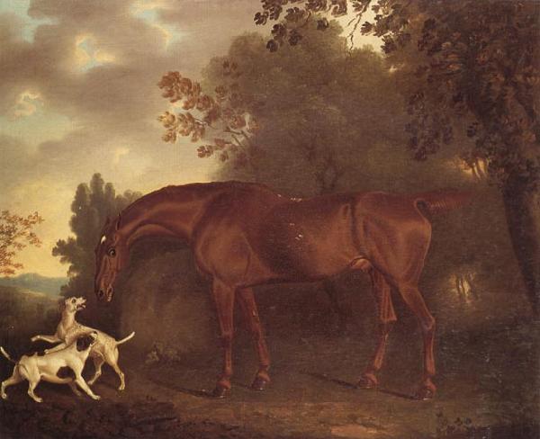 Clifton Tomson A Bay Hunter and Two Hounds in A Wooded Landscape Germany oil painting art